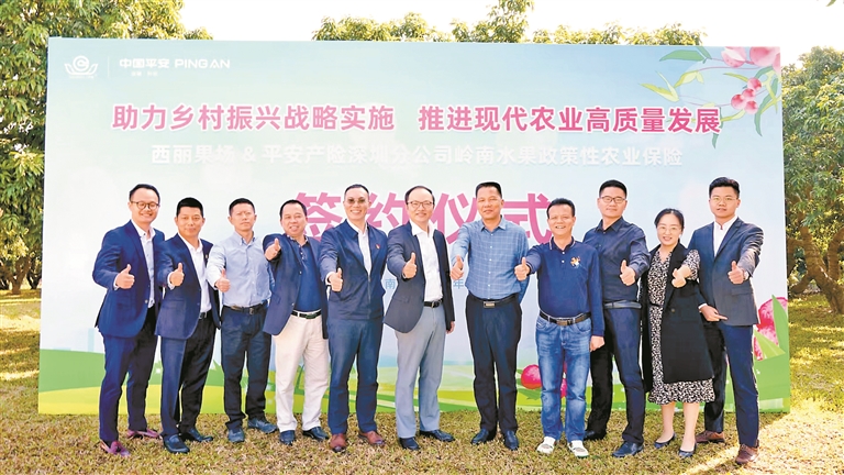 山东省首单商业性小麦收割期风力指数保险落地济宁