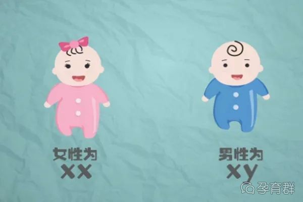 张弛有度的资本市场新生态正在孕育而生