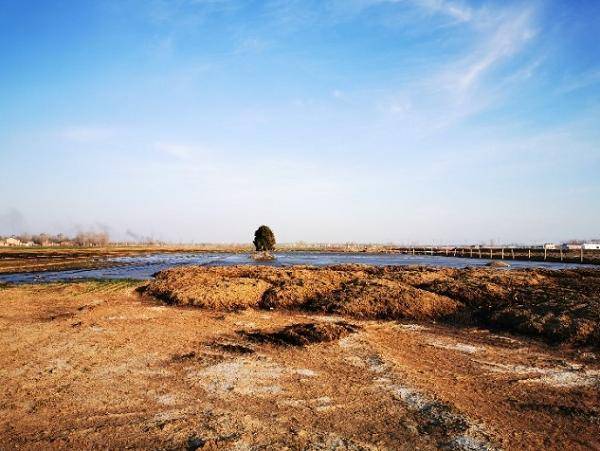 尚在辅导期便领“罚单” 严监管亮出杜绝“带病闯关”强信号