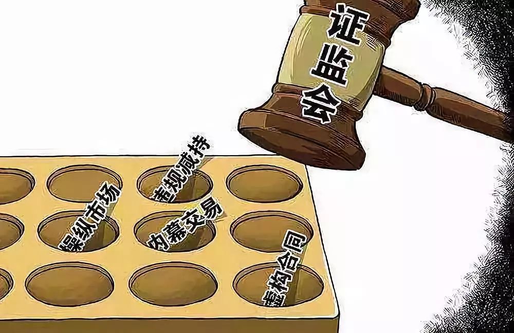 证监会近日严肃查处5起信披违法案