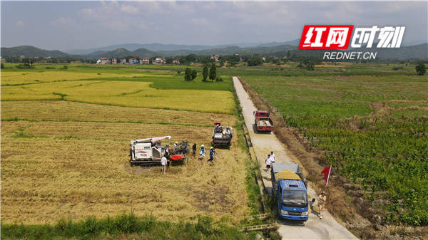 “双抢”时节农机更新正当时 上市公司在行动