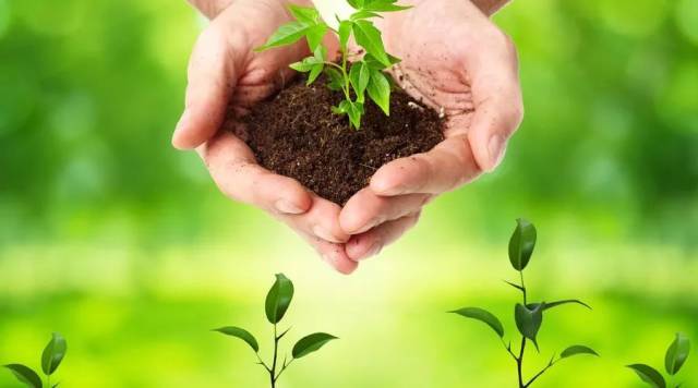 中共中央、国务院：鼓励各类资本提升绿色低碳领域投资比例