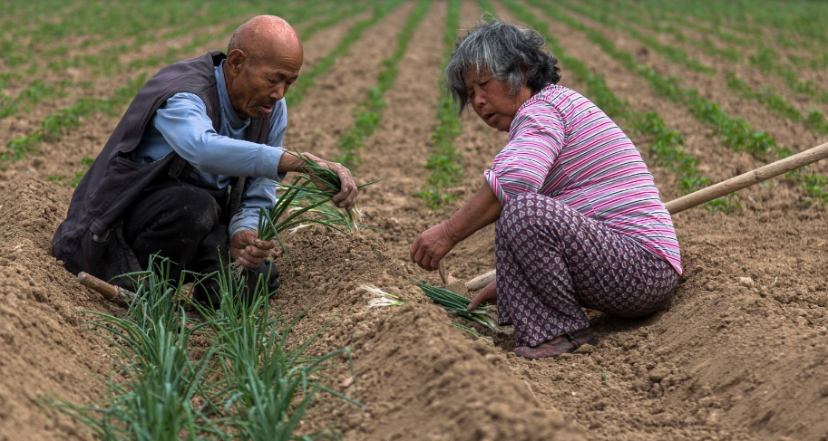 做好养老金融大文章刻不容缓 公募基金各展所长尽力满足投资者多样化产品需求