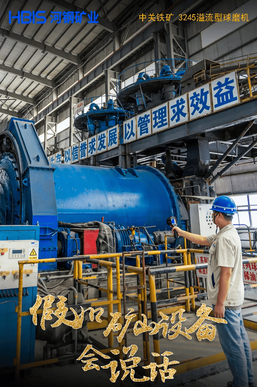 沪市生猪行业集体路演：上半年业绩回暖 扩产降本成主旋律