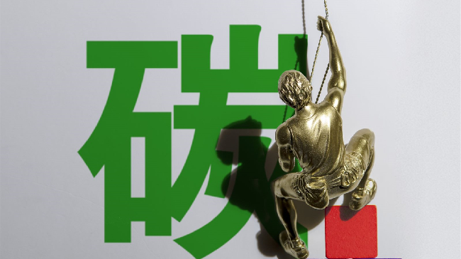 做好绿色金融大文章 助推经济转型实现“双碳”目标——湖北银行深化绿色金融的创新实践
