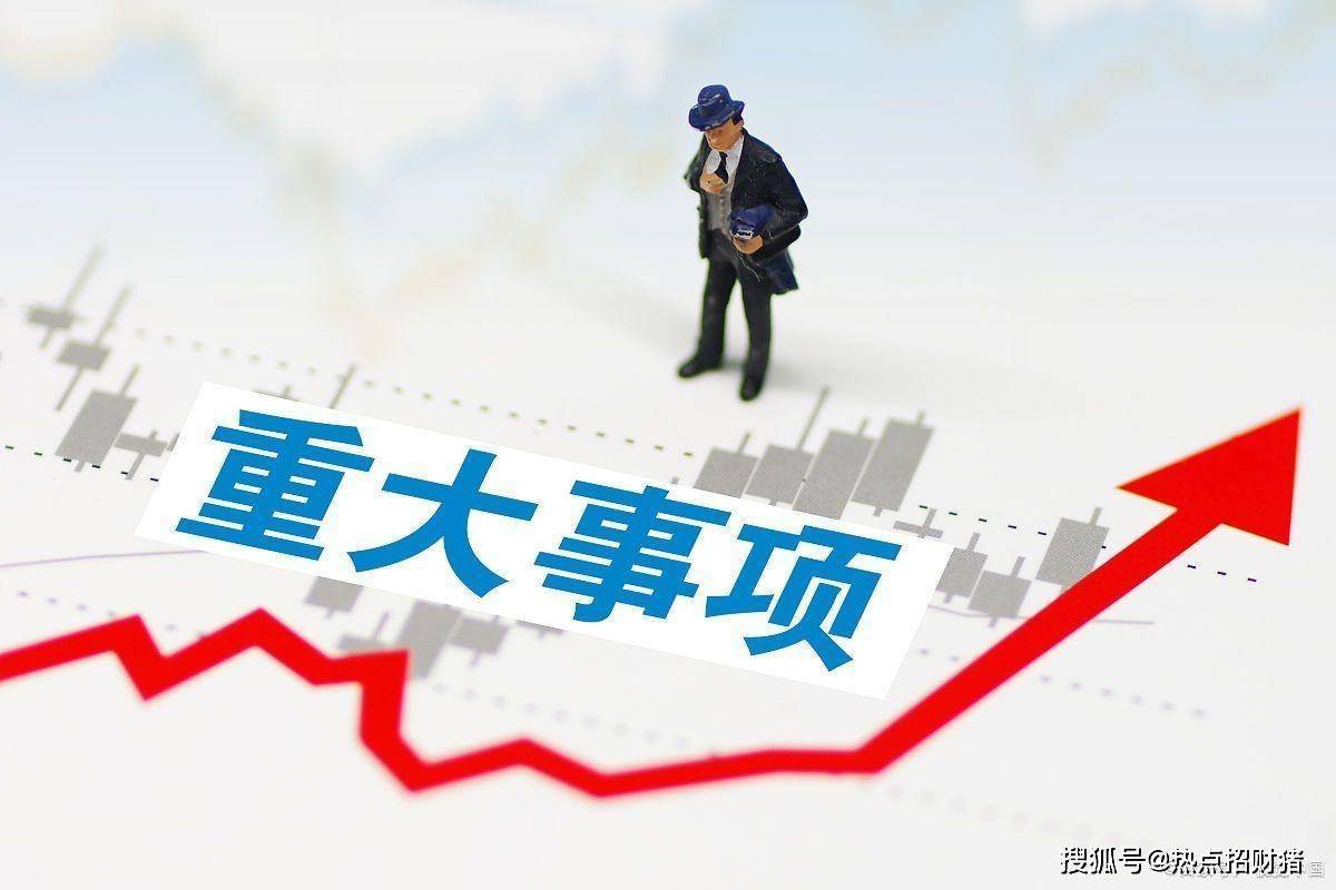 向“新”发力夯实经营业绩 沪市公司2024年形稳势升