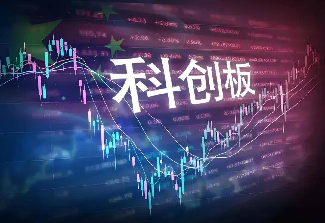 2024年证监会查办证券期货违法案件739件