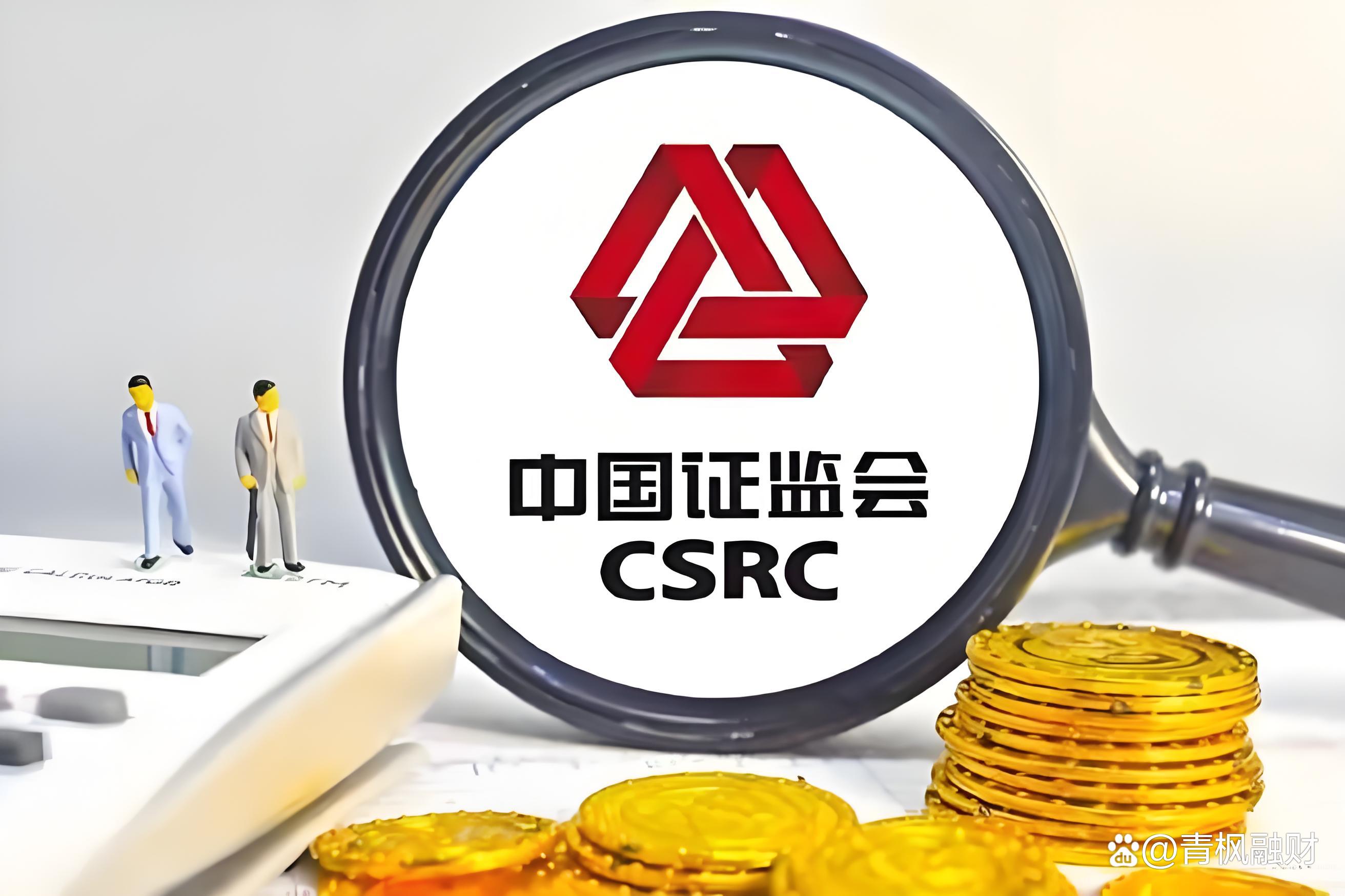 证监会严肃查处财务造假案件 首次对配合造假方同步追责