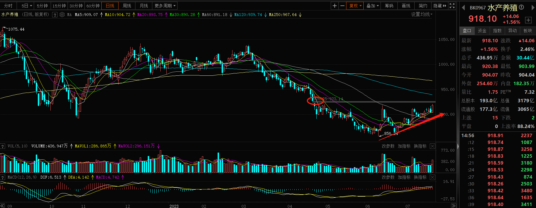 A股影视院线板块“四连涨”