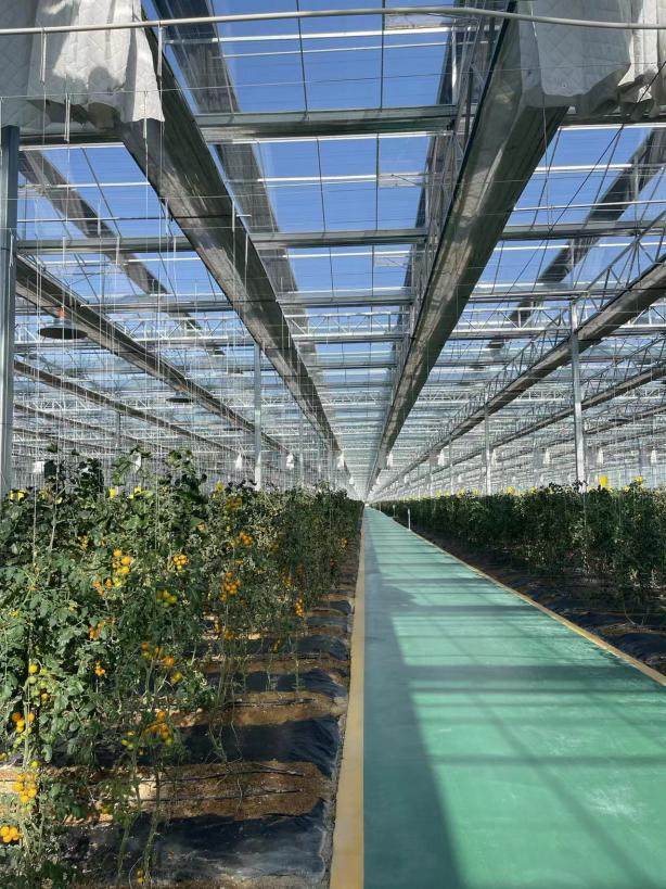 金融活水润沃土 保险护航振兴路——中华财险鞍山中支创新推出南果梨“双险融合”模式 筑牢乡村振兴风险屏障