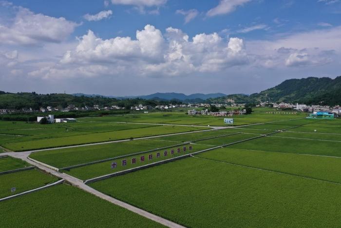 服务向“实” 发展向“稳” 开放向“深”——“十四五”金融业交出高质量答卷