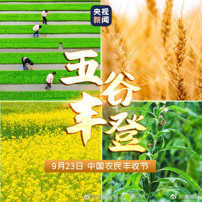 “金”风拂沃野 “贷”来五谷香 江苏银行用心守护秋收好“丰”景