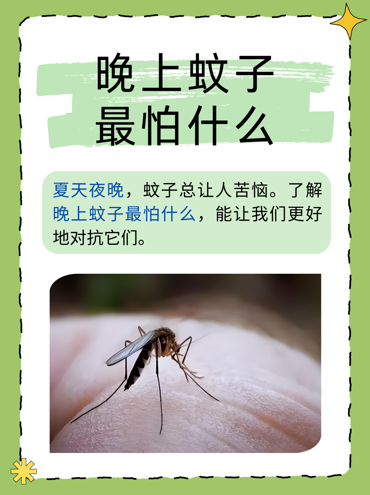 唠“科”话丨为啥蚊子总叮你?“招蚊”跟血型相关?
