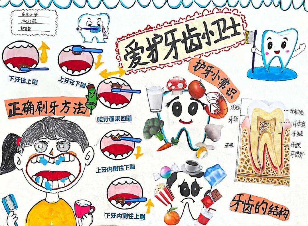 给老人孩子的爱牙指南(服务窗·“全国爱牙日”特别策划)